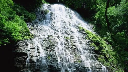 科技高端智慧